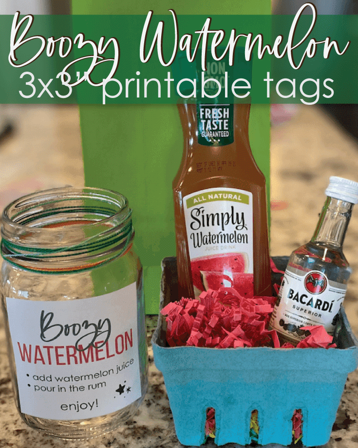 Boozy Watermelon Punch Party Favor And Prize Idea Boozy Watermelon Punch Party Favor And Prize Idea