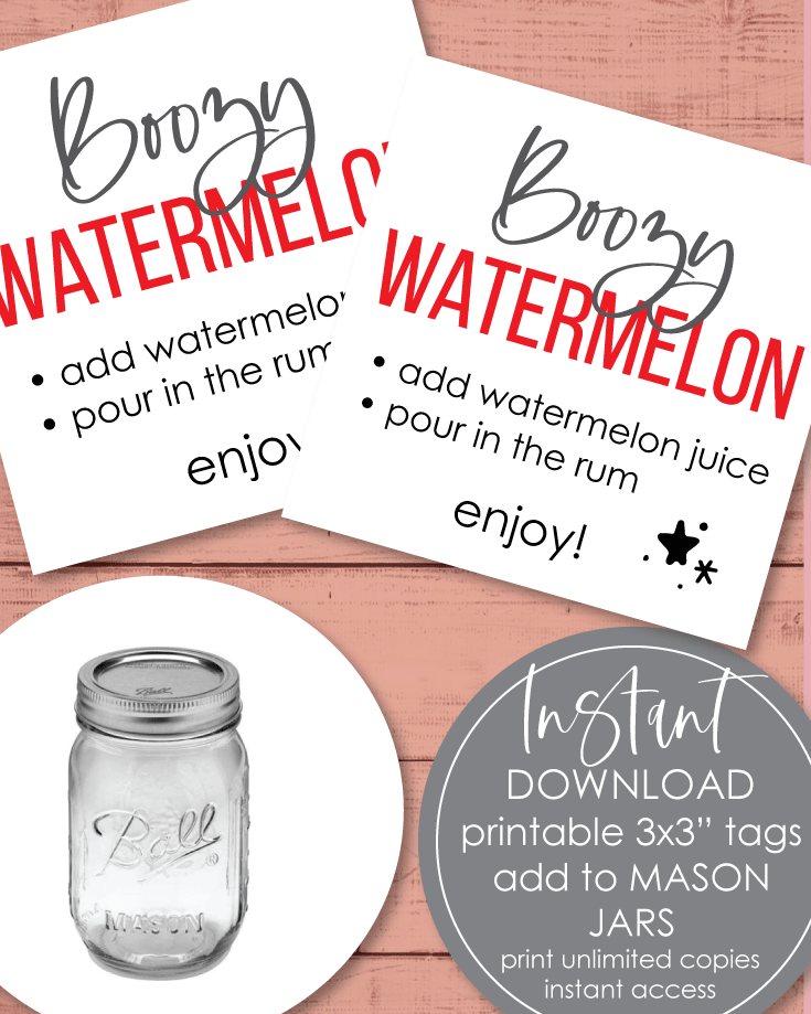 Boozy Watermelon Punch Party Favor And Prize Idea