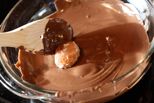 Donut Hole Pops Donut Hole Pops
