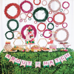 bird baby shower - about to hatch theme