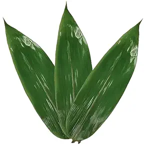 banana leaves