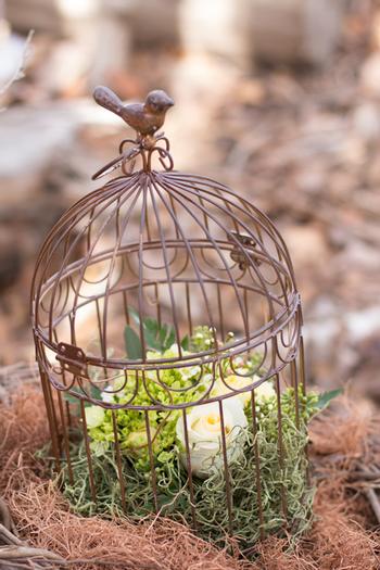 birds nest baby shower