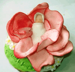 baby shower cupcakes baby shower cupcakes