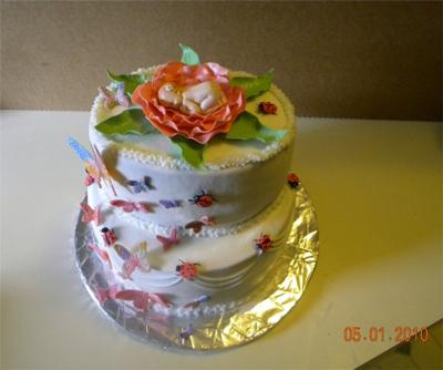 Flower Garden Baby Shower Cakes Butterflies And Ladybugs Too