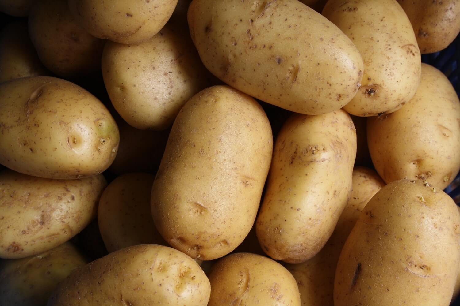 BAKED POTATO BAR BAKED POTATO BAR