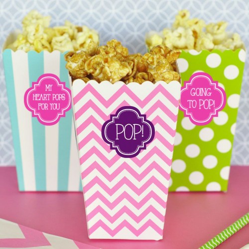 Choose 12 Tags ONLY or 12 DIY Kits-Tags Popcorn NOT included Roses Shes Gonna POP Girl Popcorn Baby Shower Favor Tag Bags & Twine 