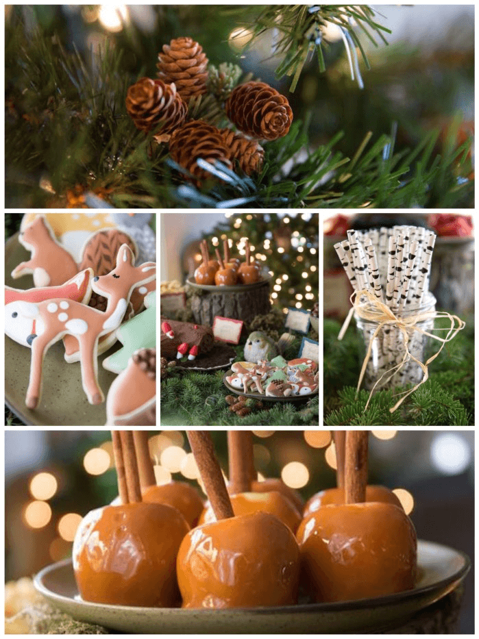 25 Woodland Baby Shower Ideas