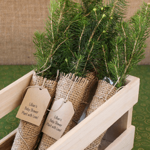 woodland baby shower favor ideas - rustic and natural themed gifts for guests