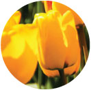 yellow baby shower themes banner