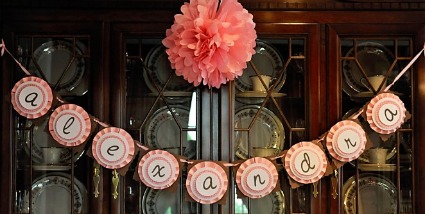 image of a pink zebra baby shower banner